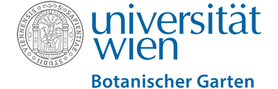 uw-bg
